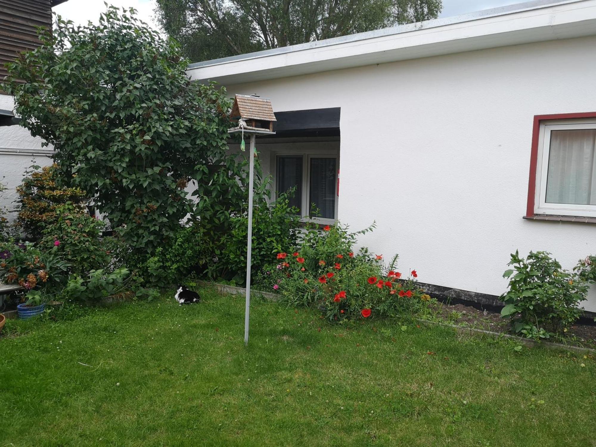 Uschi'S Gasthof Neuendorf  Esterno foto